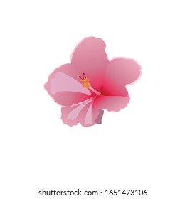 Botanical Art - Botanical Floral Vector Illustration