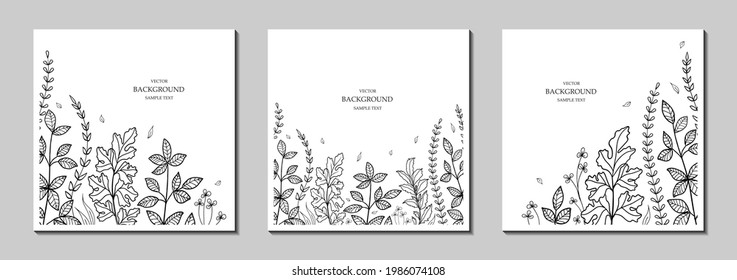 Botanical art. Floral vector templates with leaves, plants. Natural elements. Plant print for holiday posters, greeting cards, backgrounds, covers, banners, invitations. Minimalistic, trendy design.