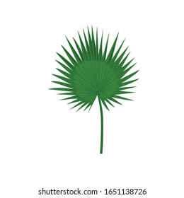 Botanical Art - Botanical Green Leaves Vector Illustration