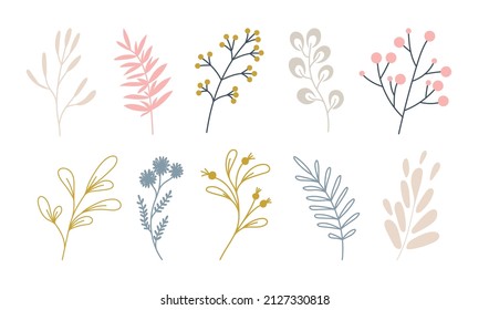 Botanical art. Hand drawn line drawing of abstract leaves, flowers, plants. Vector elements for the design of wedding invitations, greeting cards, quotes, blogs, frames, wallpapers, covers, labels.