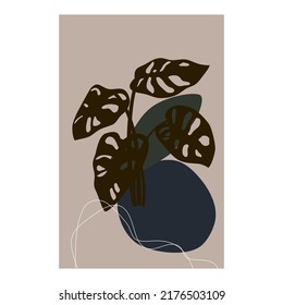 Botanical art and mid century style art 