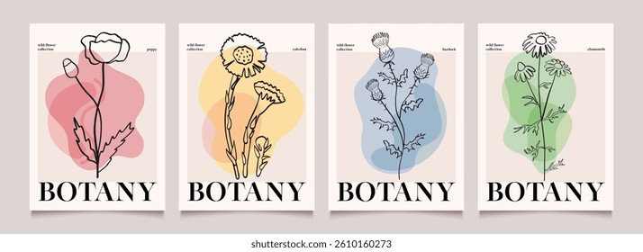 Botanical art. Posters with wild flowers and abstract shape. Modern vector backgrounds with plants. Hand drawn illustration.
