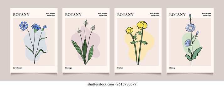 Botanical art. Posters with wild flowers and abstract shape. Modern vector backgrounds with plants. Hand drawn illustration.
