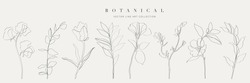 Botanical Arts. Hand Drawn Continuous Line Drawing Of Abstract Flower, Floral, Rose, Tropical Leaves, Spring And Autumn Leaf, Bouquet Of Olives. Vector Illustration.