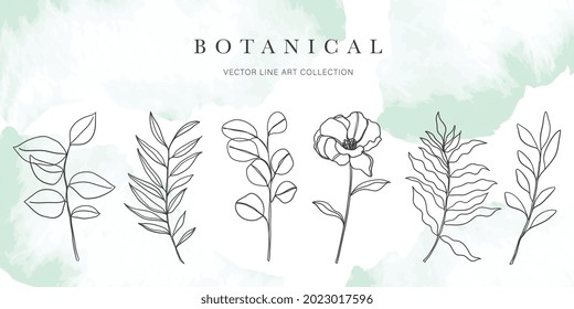 Artes botánicas. Dibujo manual de línea continua de flor abstracta, floral, ginkgo, rosa, tulipán, ramo de aceitunas. Ilustración vectorial.