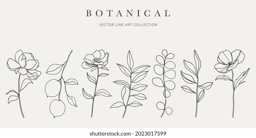 Botanical arts. Hand drawn continuous line drawing of abstract flower, floral, ginkgo, rose, tulip, bouquet of olives. Vector illustration.