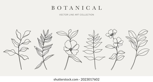 Botanical arts. Hand drawn continuous line drawing of abstract flower, floral, ginkgo, rose, tulip, bouquet of olives. Vector illustration.