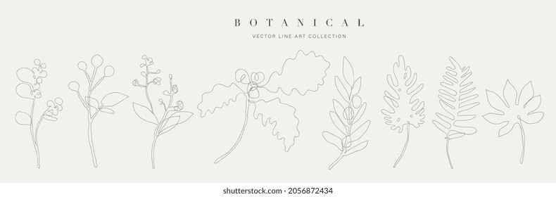 Botanical arts. Hand drawn continuous line drawing of abstract flower, floral, ginkgo, tropical leaves, spring and autumn leaf, bouquet of olives. Vector illustration.