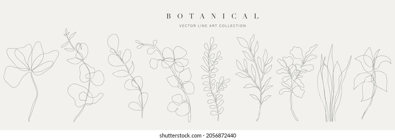 Botanical arts. Hand drawn continuous line drawing of abstract flower, floral, ginkgo, tropical leaves, spring and autumn leaf, bouquet of olives. Vector illustration.