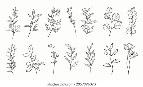 Botanical arts. Hand drawn continuous line drawing of abstract flower, floral, ginkgo, rose, tulip, bouquet of olives. Vector illustration.