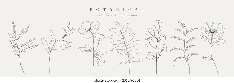 Artes botánicas. Dibujo manual de línea continua de flor abstracta, floral, rosa, hojas tropicales, hojas de primavera y otoño, ramo de aceitunas. Ilustración vectorial.