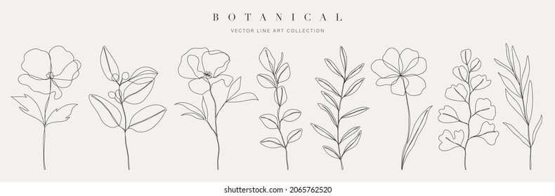 Botanical arts. Hand drawn continuous line drawing of abstract flower, floral, rose, tropical leaves, spring and autumn leaf, bouquet of olives. Vector illustration.