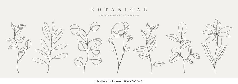 Botanical arts. Hand drawn continuous line drawing of abstract flower, floral, rose, tropical leaves, spring and autumn leaf, bouquet of olives. Vector illustration.