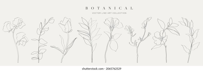 Artes botánicas. Dibujo manual de línea continua de flor abstracta, floral, rosa, hojas tropicales, hojas de primavera y otoño, ramo de aceitunas. Ilustración vectorial.