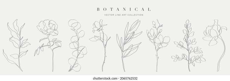 Botanical arts  Hand drawn continuous line drawing abstract flower  floral  rose  tropical leaves  spring   autumn leaf  bouquet olives  Vector illustration 