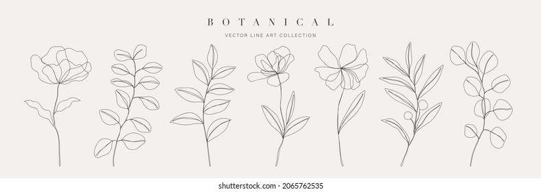 Botanical arts. Hand drawn continuous line drawing of abstract flower, floral, rose, tropical leaves, spring and autumn leaf, bouquet of olives. Vector illustration.