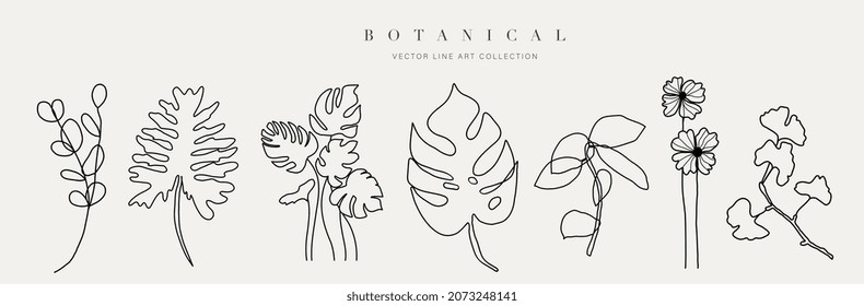 Botanical arts. Hand drawn continuous line drawing of abstract flower, floral, ginkgo, rose, tulip, bouquet of olives. Vector illustration.