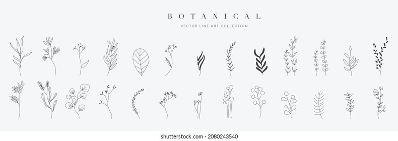 Botanical arts. Hand drawn continuous line drawing of herbs, abstract flower, floral, ginkgo, rose, tulip, bouquet of olives. Vector illustration.
