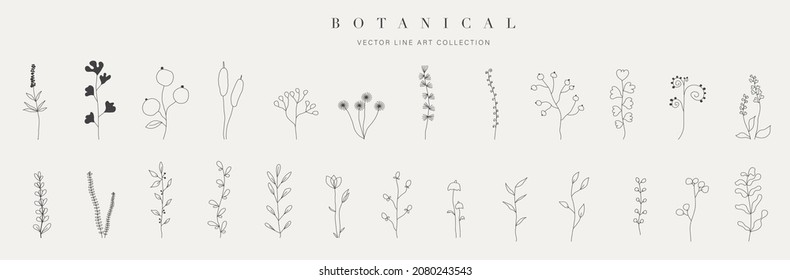 Botanical arts. Hand drawn continuous line drawing of herbs, abstract flower, floral, ginkgo, rose, tulip, bouquet of olives. Vector illustration.
