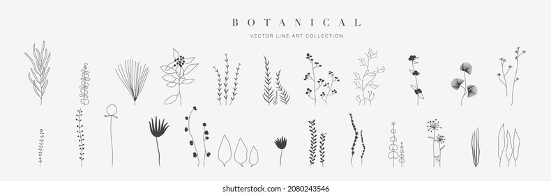 Botanical arts. Hand drawn continuous line drawing of herbs, abstract flower, floral, ginkgo, rose, tulip, bouquet of olives. Vector illustration.
