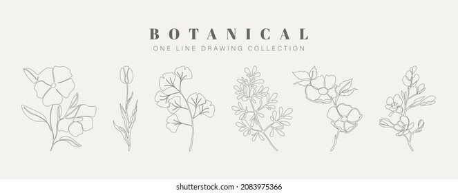 Botanical arts. Hand drawn continuous line drawing of abstract flower, floral, rose, tropical leaves, spring and autumn leaf, bouquet. Vector illustration.