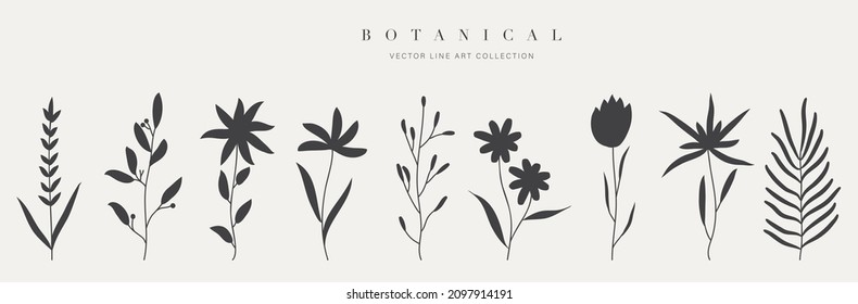 Botanical arts. Hand drawn continuous line drawing of abstract flower, floral, ginkgo, rose, tulip, bouquet of olives. Vector illustration.
