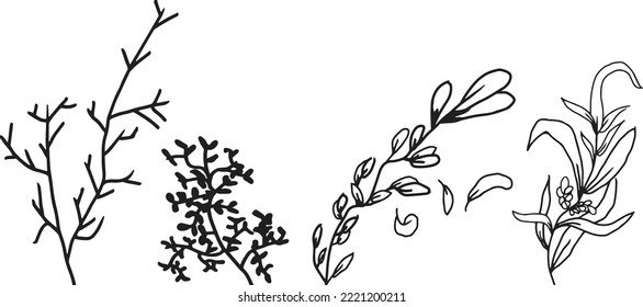 Botanical arts. Hand drawn continuous line drawing of abstract flower, and branch. hand drawing of botanical or flower.