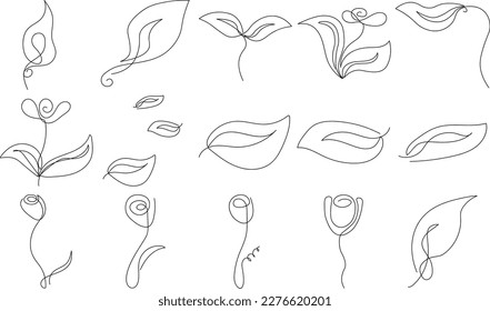 Botanical arts. Hand drawn continuous line drawing of abstract flower, floral, rose, tropical leaves, spring and autumn leaf, bouquet of olives. Vector illustration.