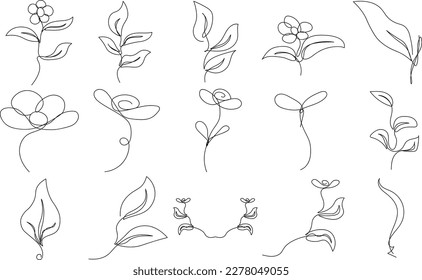 Artes botánicas. Dibujo manual de línea continua de flor abstracta, floral, rosa, hojas tropicales, hojas de primavera y otoño, ramo de aceitunas. Ilustración vectorial.