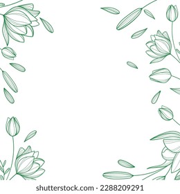 Botanical arts. Hand drawn continuous line drawing of abstract flower, floral, rose, tropical leaves, spring and autumn leaf, bouquet of olives. Vector illustration. 