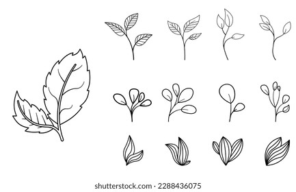 Botanical arts. Hand drawn continuous line drawing of abstract flower, floral, rose, tropical leaves, spring and autumn leaf, bouquet of olives. Vector illustration