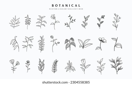 Botanical arts. Hand drawn continuous line drawing of abstract flower, floral, rose, tropical leaves, spring and autumn leaf, bouquet of olives. Vector illustration.