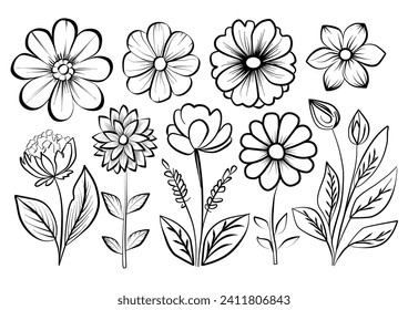 Botanical arts. Hand drawn continuous line drawing of abstract flower, floral, rose, tropical leaves, spring and autumn leaf. Vector illustration.