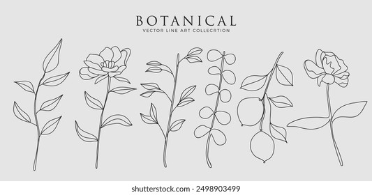 Botanical arts. Hand drawn continuous line drawing of abstract flower, floral, rose, tropical leaves, spring and autumn leaf, bouquet of olives. Vector illustration