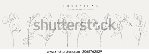 Botanical arts. Hand drawn\
continuous line drawing of abstract flower, floral, rose, tropical\
leaves, spring and autumn leaf, bouquet of olives. Vector\
illustration.