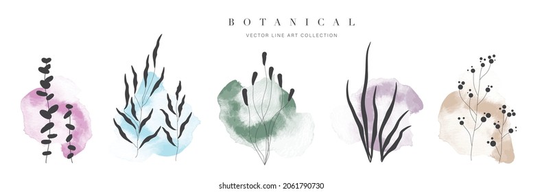 Botanical arts. Hand drawn line drawing of abstract floral and leaves with watercolor background vector.