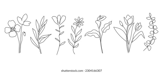 Botanical arts. Line drawing of abstract flower, floral, lily, olives leaf, сalla. Vector illustration.