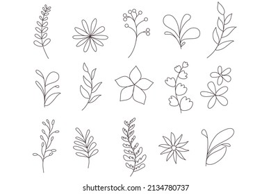 Botanische Kunst. Handgezeichnete Linie aus abstrakter Blume, Blume, Braanch. Pflanzensammler einzelne Vintage-Doodle-Set für Karten, Einladungen, Logo.