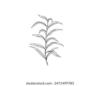 Arte botánico esquema simple Vector. Dibujo continuo de una línea de flores abstractas, flores, rosas, hojas tropicales, hojas de primavera y otoño. Trazo editable.