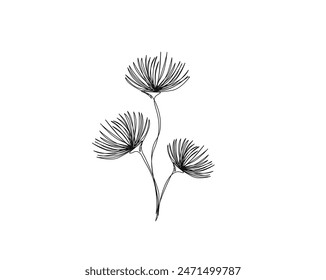 Arte botánico esquema simple Vector. Dibujo continuo de una línea de flores abstractas, flores, rosas, hojas tropicales, hojas de primavera y otoño. Trazo editable.