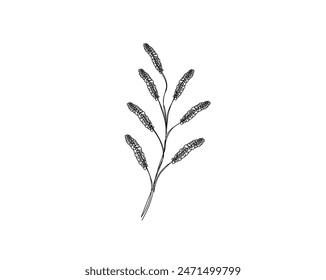 Botanical arts simple outline vector. Continuous one line drawing of abstract flower, floral, rose, tropical leaves, spring and autumn leaf. Editable stroke.
