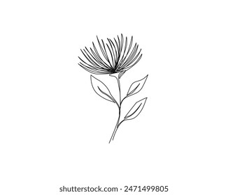 Botanical arts simple outline vector. Continuous one line drawing of abstract flower, floral, rose, tropical leaves, spring and autumn leaf. Editable stroke.