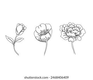 Vector de esquema único de artes botánicas. Dibujo continuo de una línea de flores abstractas, florales, rosas, hojas tropicales, hojas de primavera y otoño,. Trazo editable.