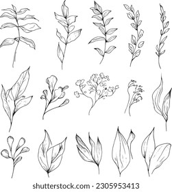 Botanical artwork decor  vector set botanical leaf simple outline sketch doodle hand drawn illustration  botanical drawings flowers  leaf drawings wildflowers  botanical drawings