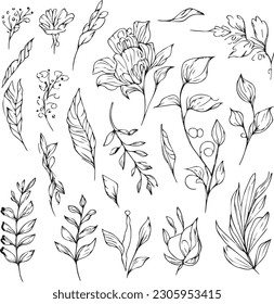 Botanical artwork decor  vector set botanical leaf simple outline sketch doodle hand drawn illustration  botanical drawings flowers  leaf drawings wildflowers  botanical drawings