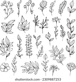Botanical artwork decor  vector set botanical leaf simple outline sketch doodle hand drawn illustration  botanical drawings flowers  botanical drawings wildflowers drawings 
