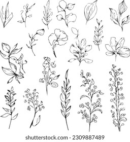 Botanical artwork decor  vector set botanical leaf simple outline sketch doodle hand drawn illustration  botanical drawings flowers  botanical drawings wildflowers  drawings 