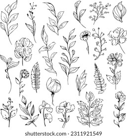 Botanical artwork decor  vector set botanical leaf simple outline sketch doodle hand drawn illustration  botanical drawings flowers  drawings wildflowers  botanical drawings 
