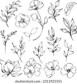 Botanical artwork decor  vector set botanical leaf simple outline sketch doodle hand drawn illustration  botanical drawings flowers  drawings wildflowers  botanical drawings 
