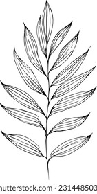 Botanical artwork decor, vector set of botanical leaf simple outline sketch doodle hand drawn illustration, botanical drawings of flowers, natural drawings of wildflowers, botanical drawings.